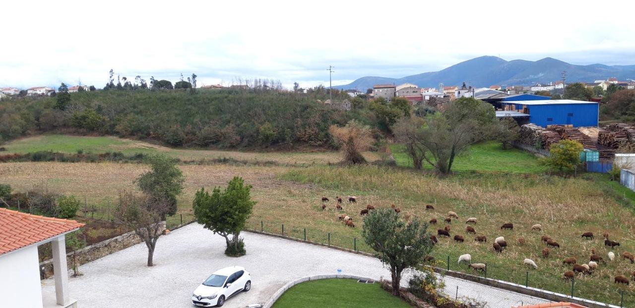 Pensjonat Casa Moiano Oliveira do Hospital Zewnętrze zdjęcie